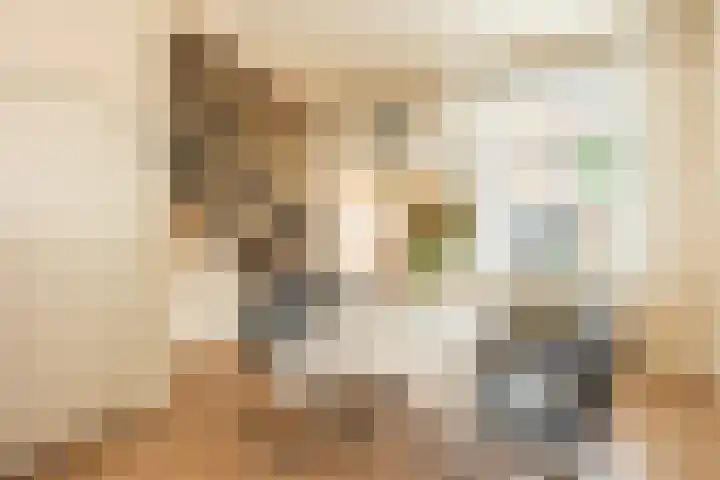 Begoniastraat 84 Hilversum thumbnail 4