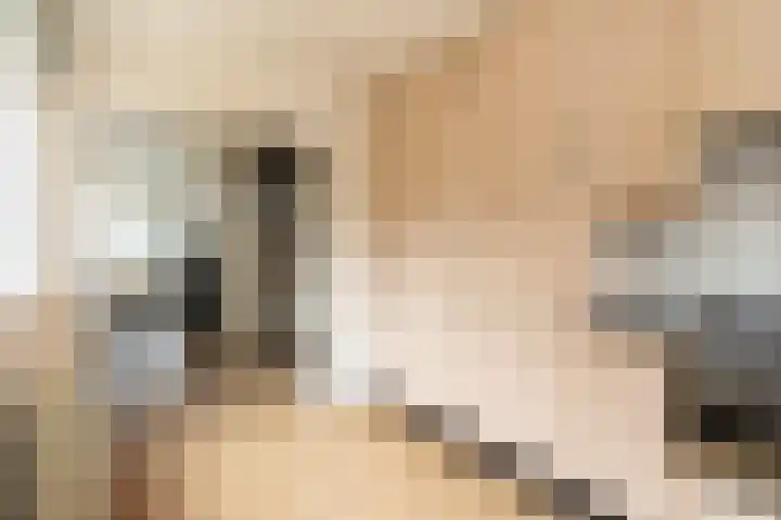 Begoniastraat 84 Hilversum thumbnail 8
