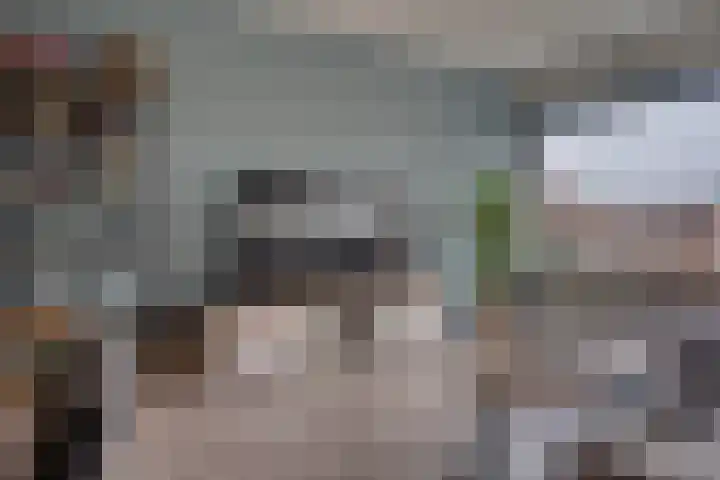 Begoniastraat 86 Zwijndrecht thumbnail 14