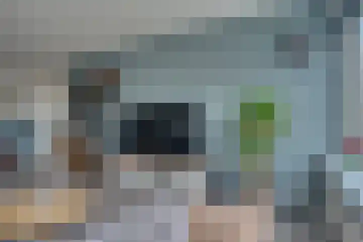 Begoniastraat 86 Zwijndrecht thumbnail 15