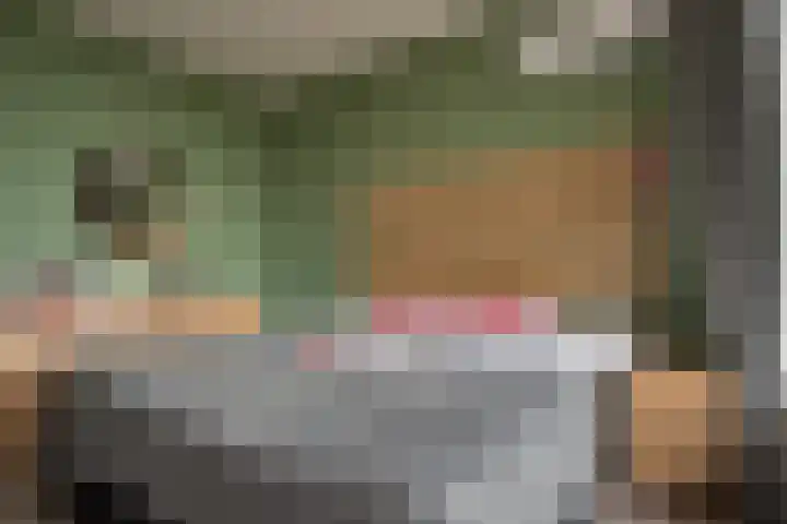 Begoniastraat 86 Zwijndrecht thumbnail 20