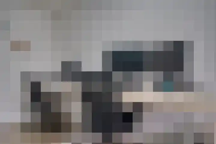 Begoniastraat 86 Zwijndrecht thumbnail 22