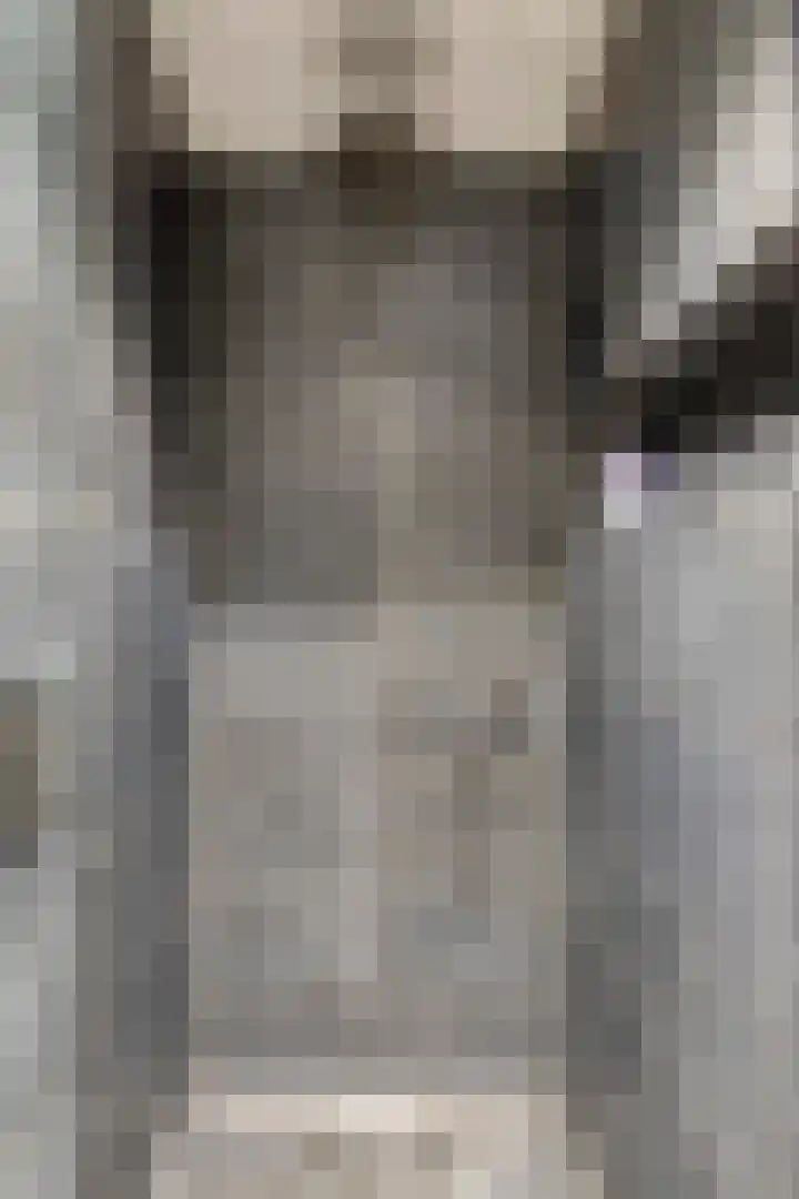 Begoniastraat 9 Eindhoven thumbnail 11