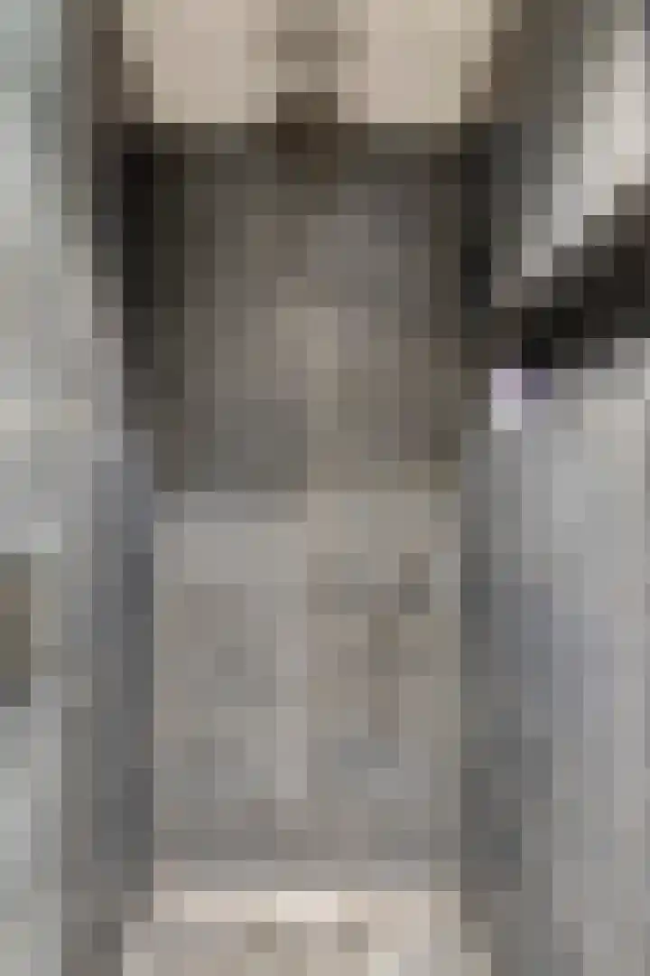 Begoniastraat 9 Eindhoven thumbnail 12