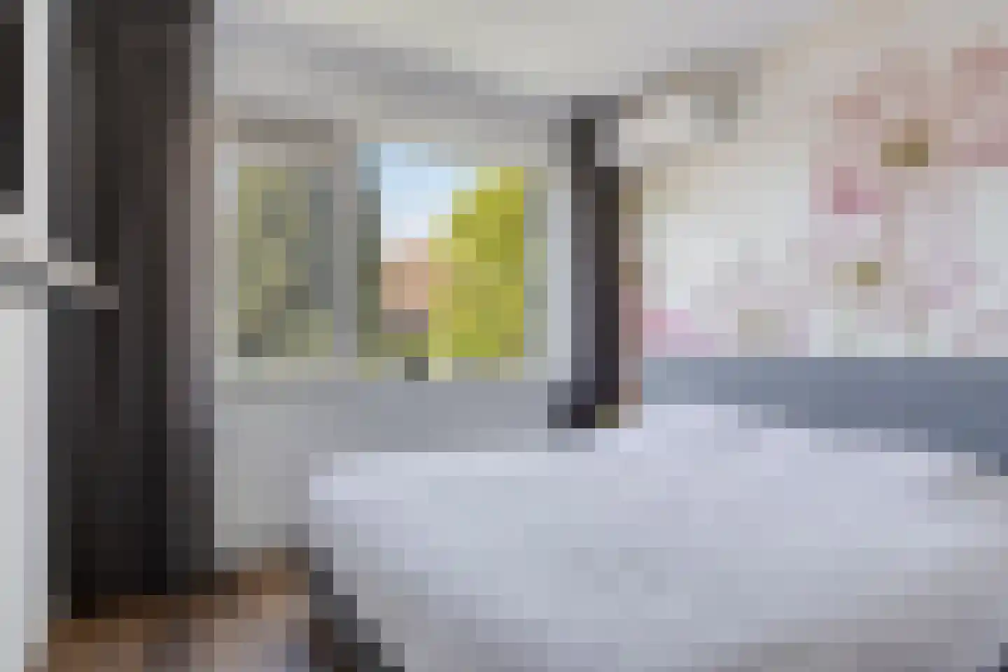 Begoniastraat 9 Eindhoven thumbnail 13