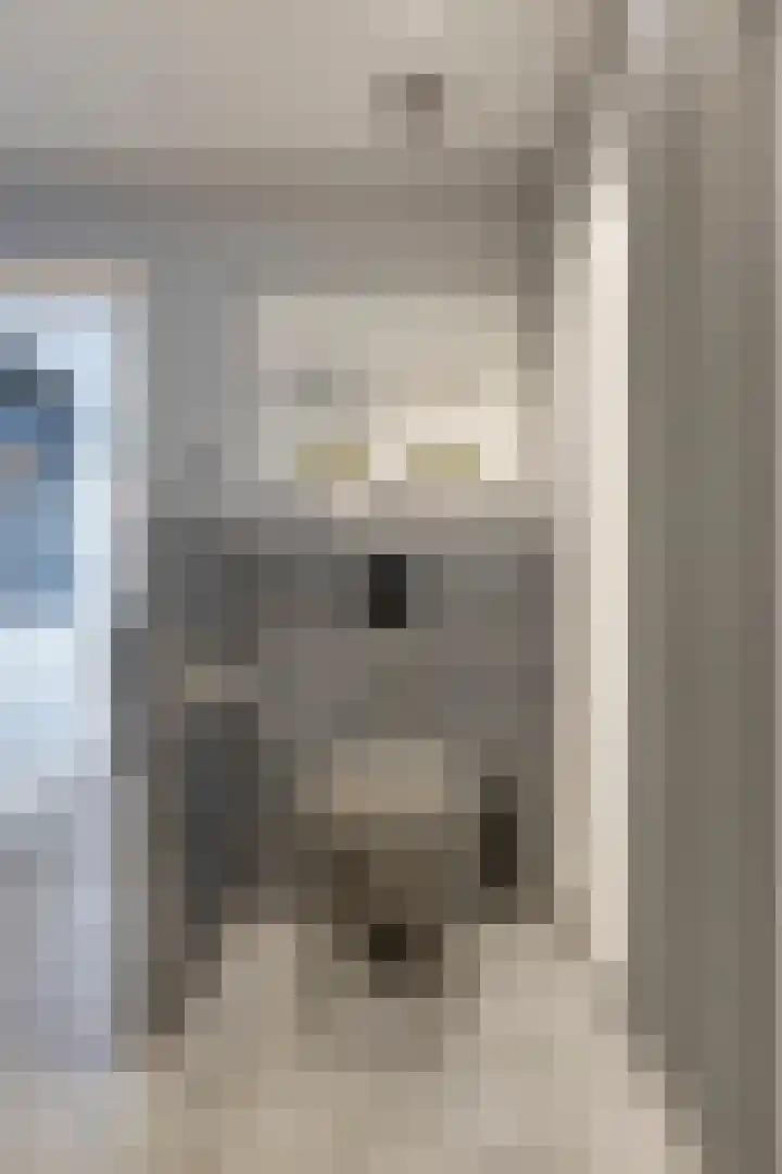 Begoniastraat 9 Eindhoven thumbnail 13