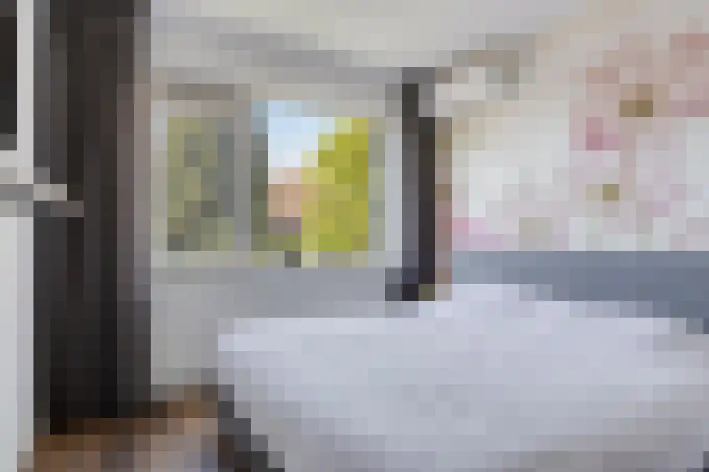 Begoniastraat 9 Eindhoven thumbnail 14