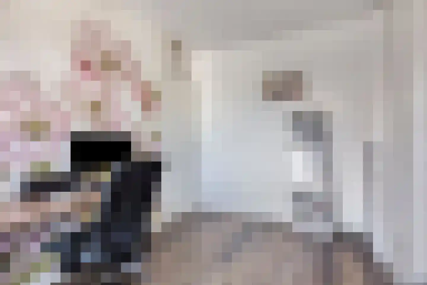 Begoniastraat 9 Eindhoven thumbnail 16