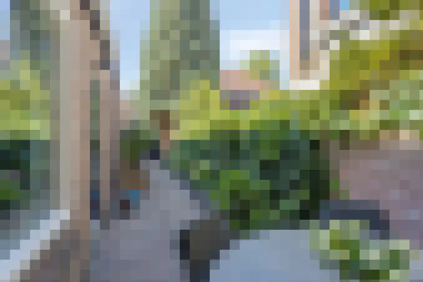 Begoniastraat 9 Eindhoven thumbnail 21