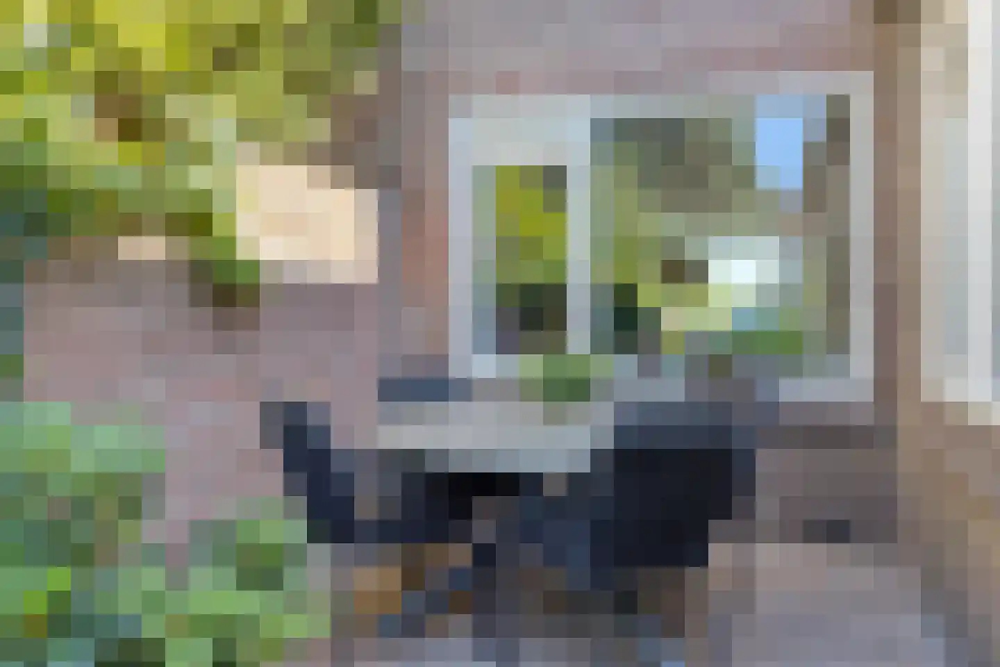 Begoniastraat 9 Eindhoven thumbnail 22
