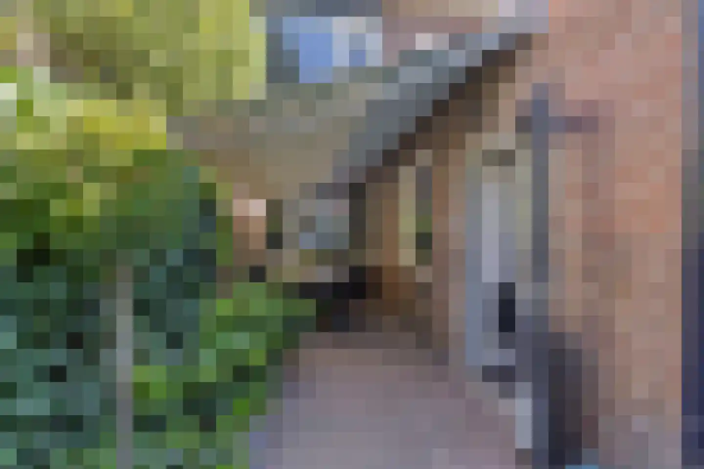 Begoniastraat 9 Eindhoven thumbnail 23