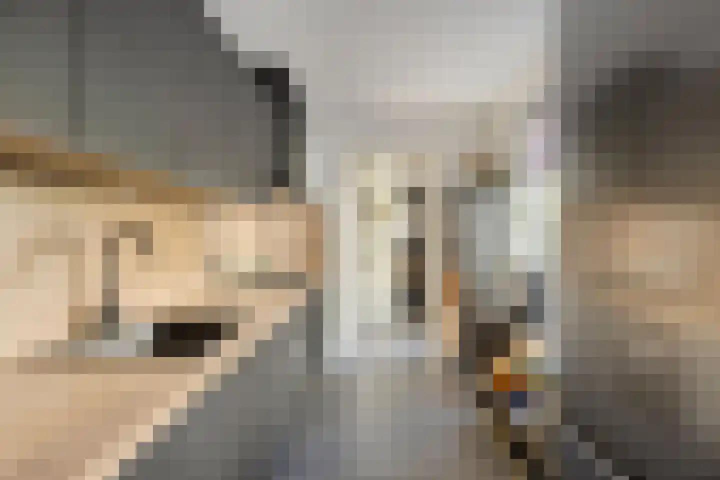 Begoniastraat 9 Eindhoven thumbnail 6