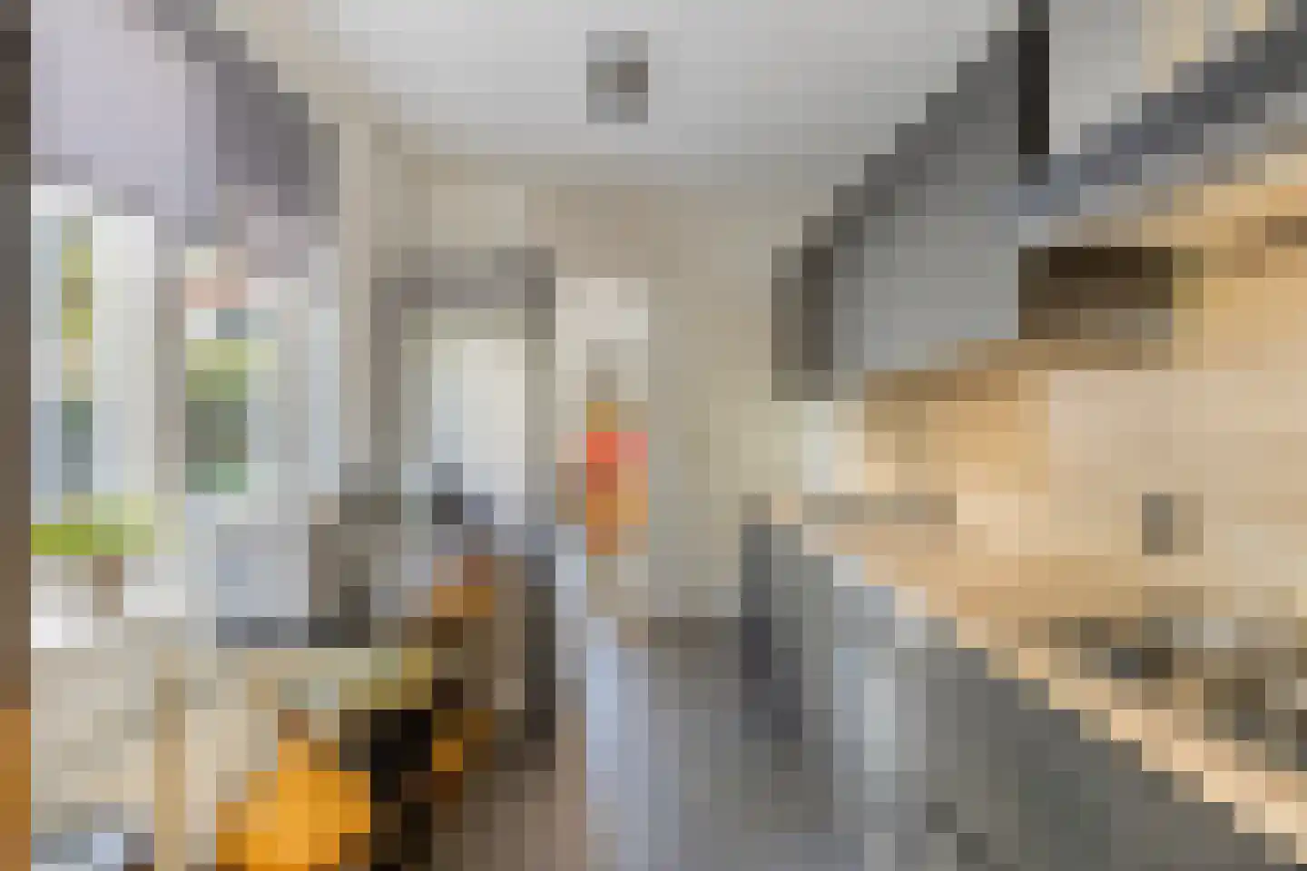Begoniastraat 9 Eindhoven thumbnail 7
