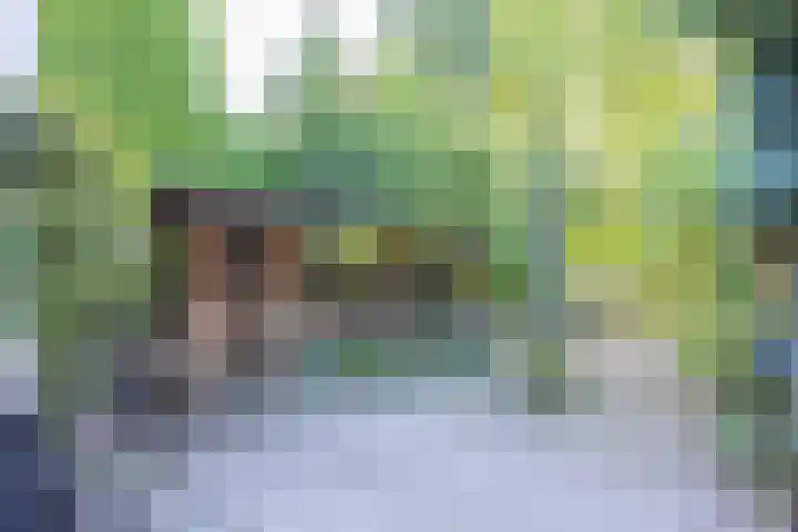 Begoniastraat 9 Kerkrade thumbnail 23