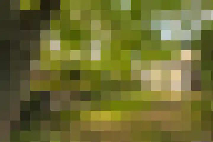 Begoniastraat 9 Kerkrade thumbnail 25