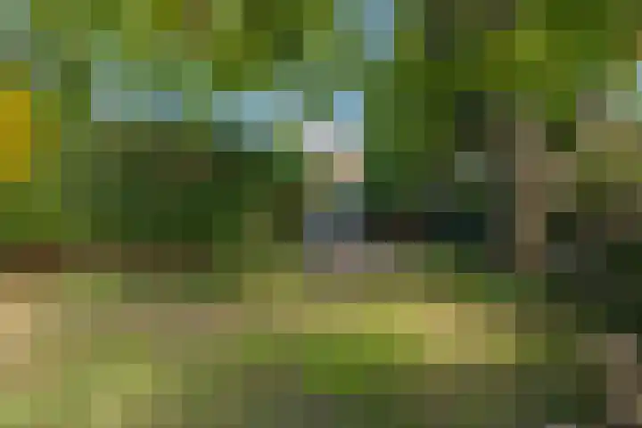 Begoniastraat 9 Kerkrade thumbnail 26