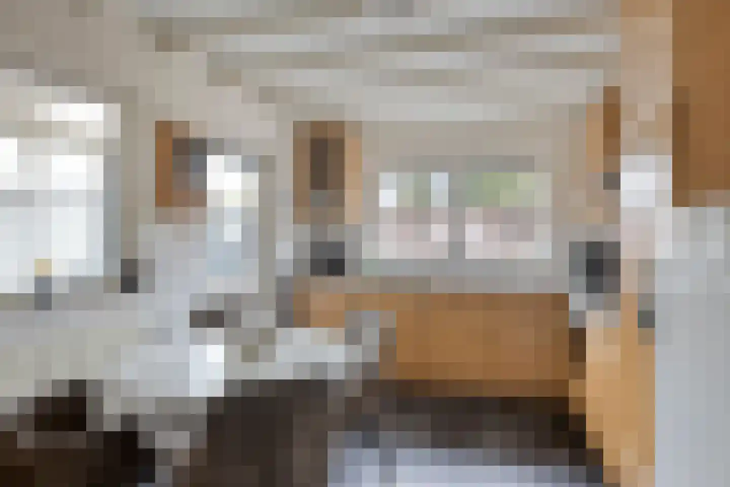 Begoniastraat 9 Uden thumbnail 13