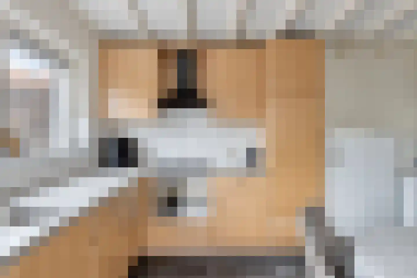 Begoniastraat 9 Uden thumbnail 14