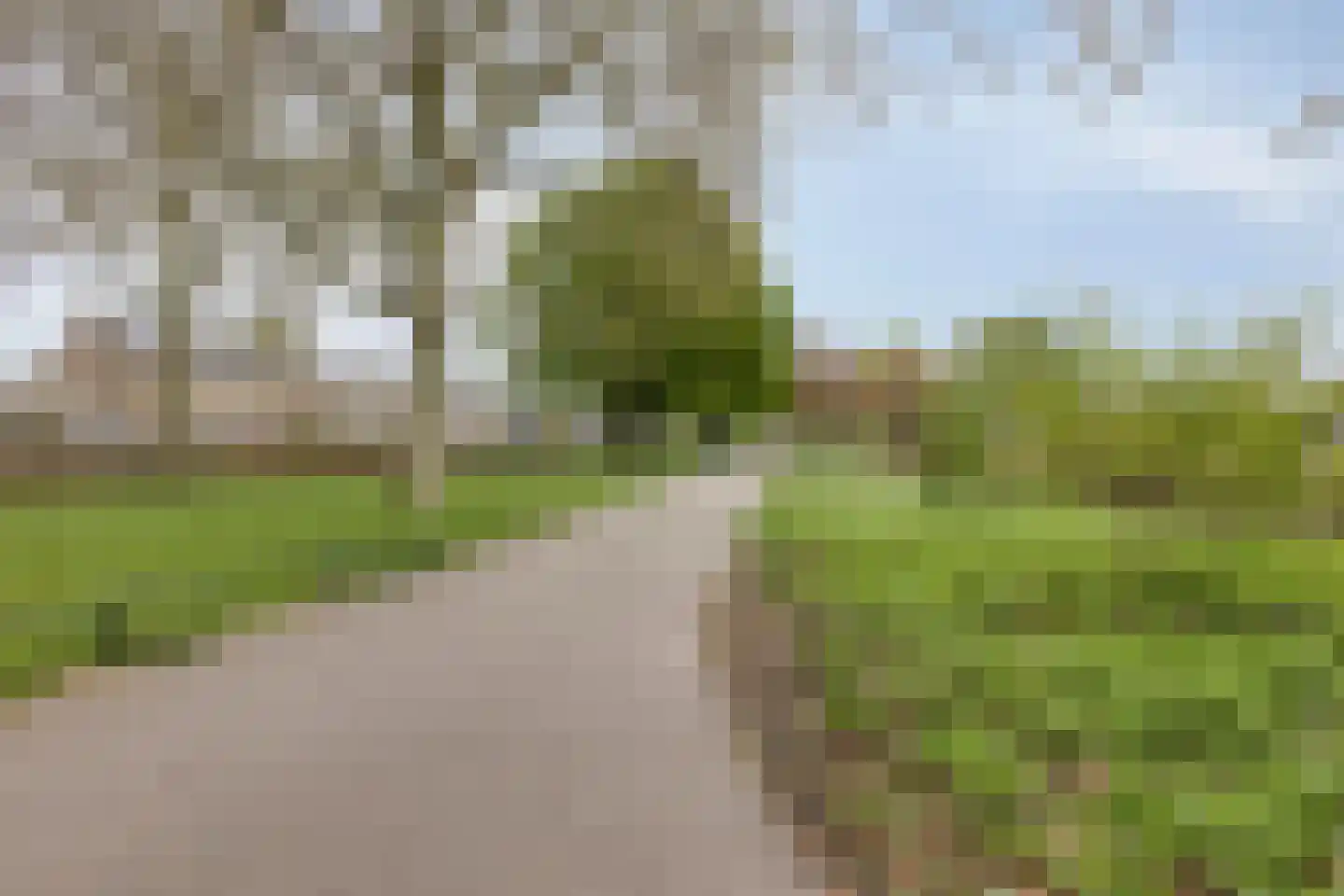 Begoniastraat 9 Uden thumbnail 27
