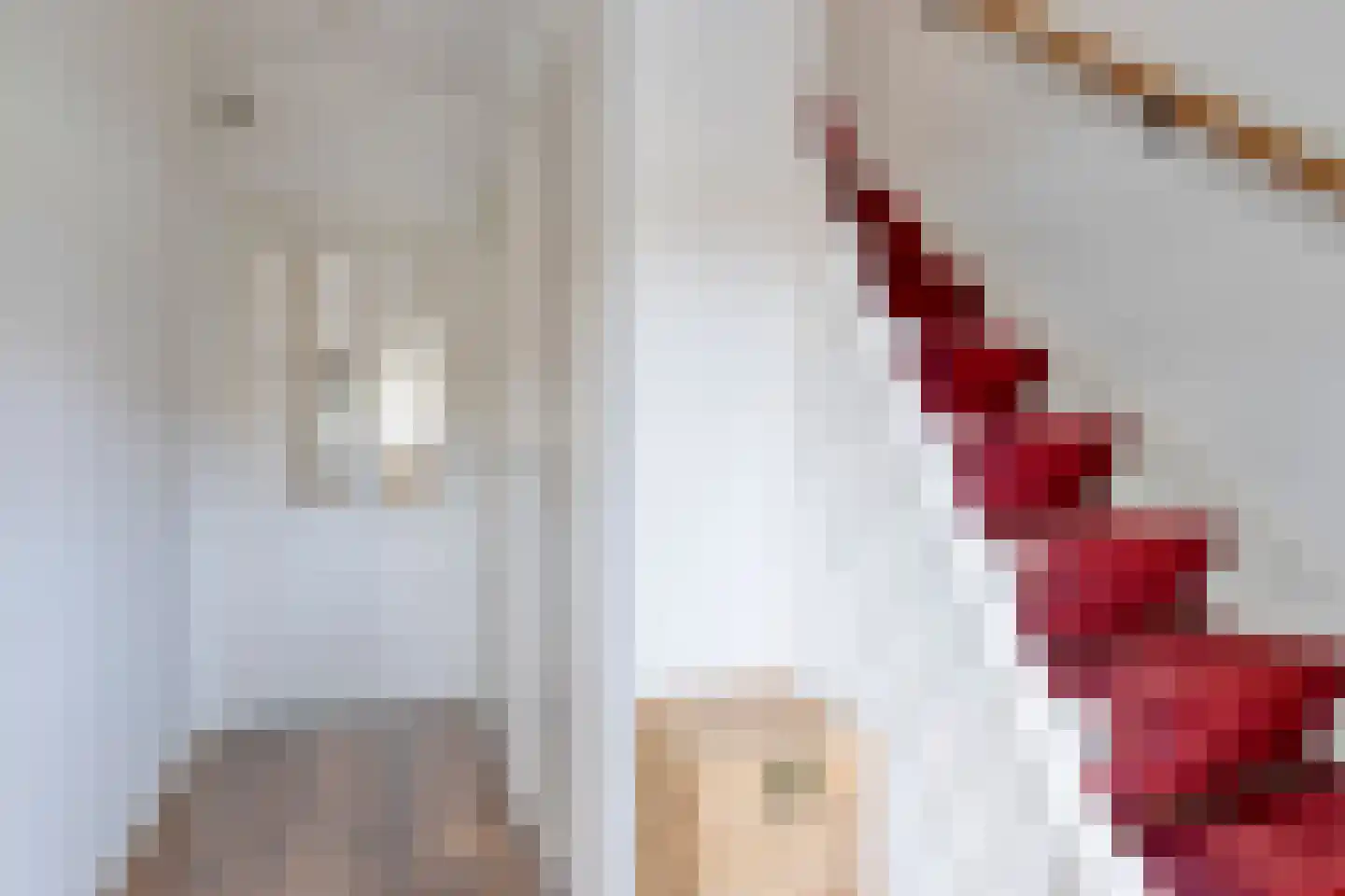 Begoniastraat 9 Uden thumbnail 6