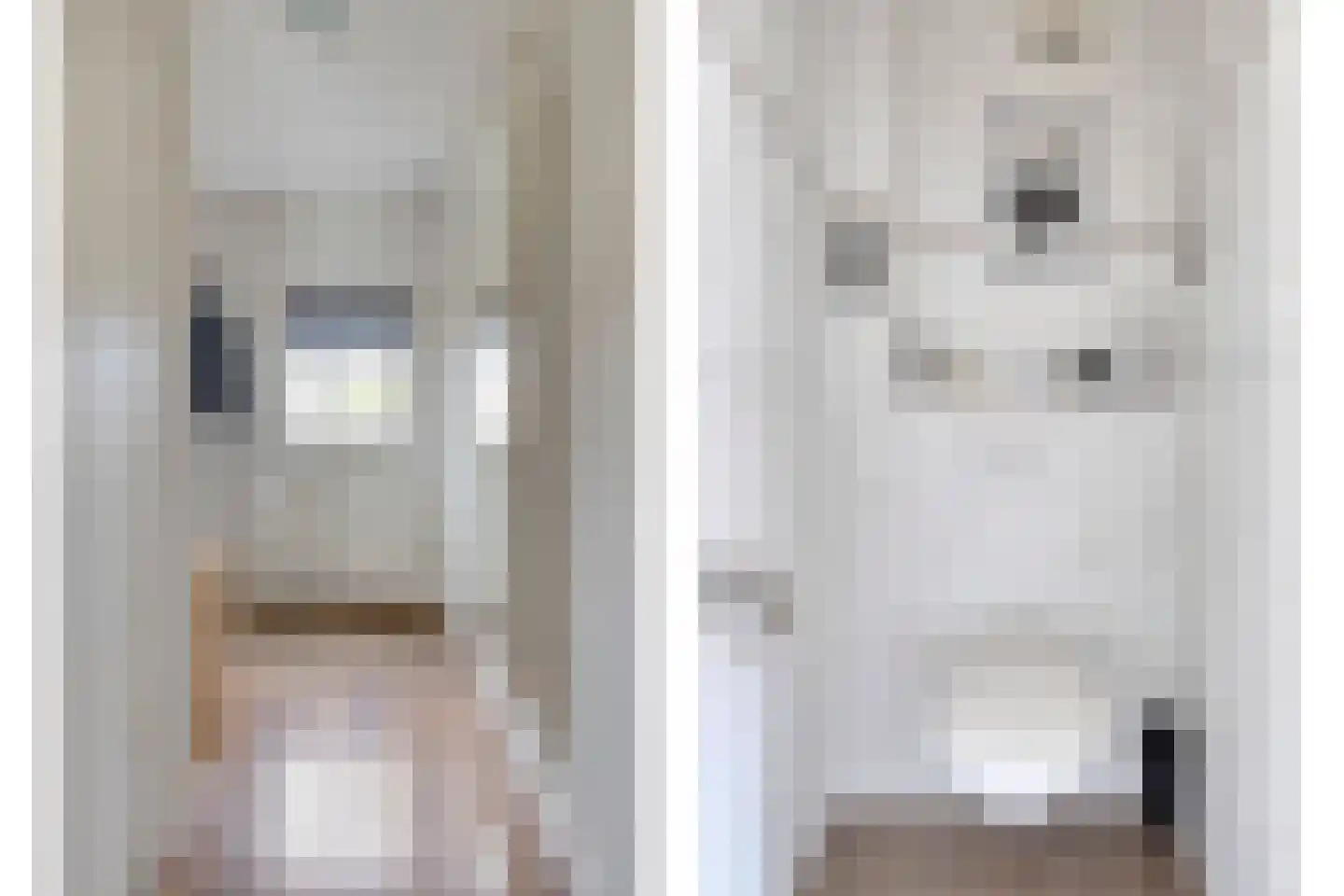 Begoniastraat 9 Uden thumbnail 7