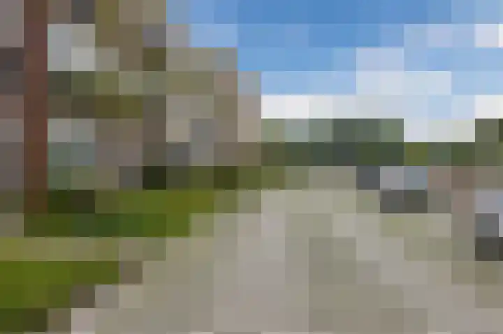 Begoniatuin 193 Pijnacker thumbnail 36