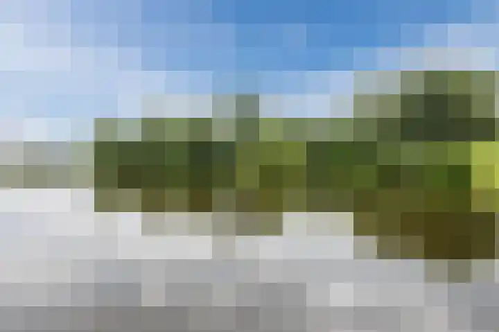 Begoniatuin 193 Pijnacker thumbnail 42