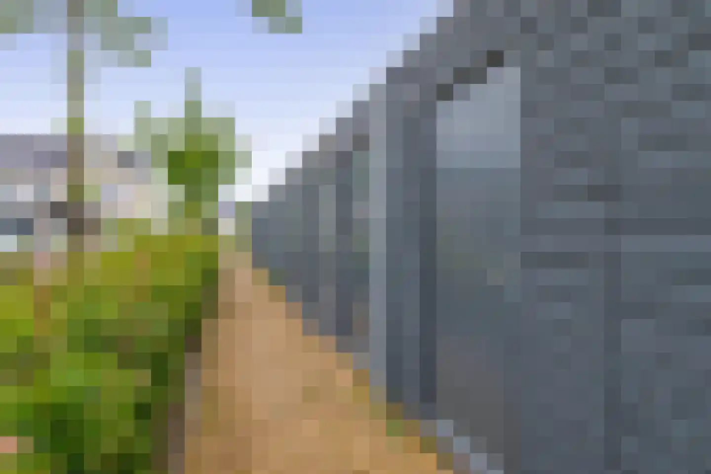 Begoniatuin 283 Pijnacker thumbnail 26
