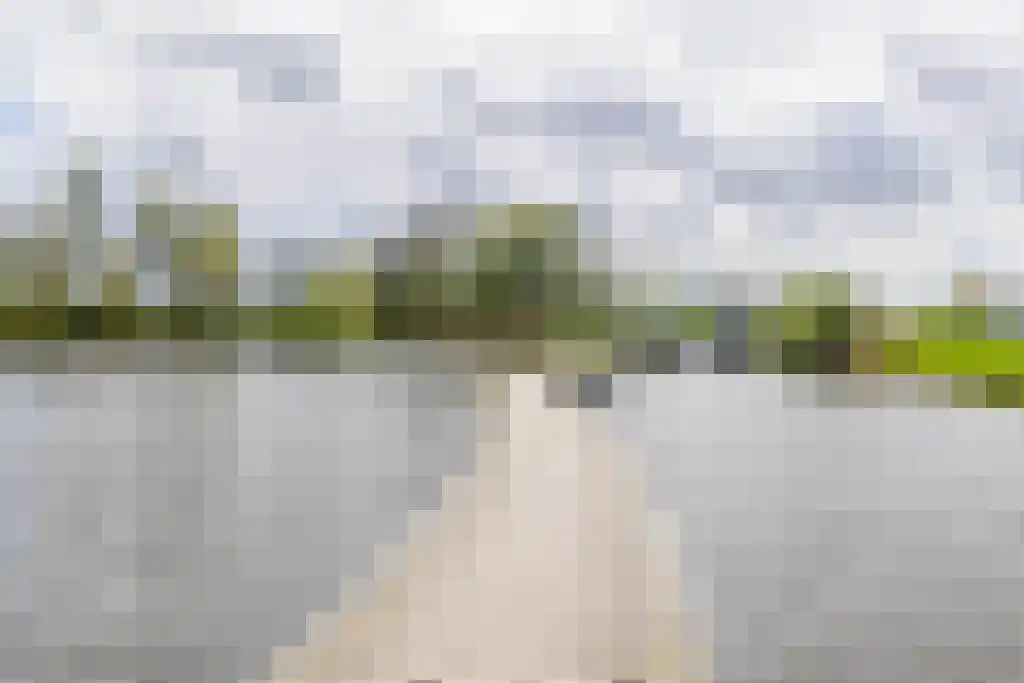 Begoniatuin 283 Pijnacker thumbnail 32