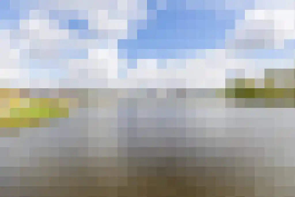 Begoniatuin 283 Pijnacker thumbnail 33