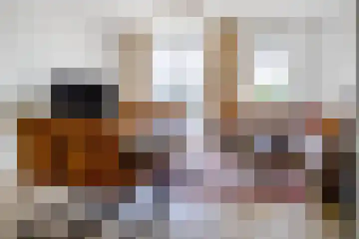 Begoniatuin 287 Pijnacker