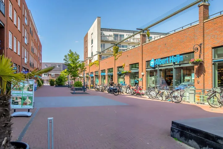 Begoniatuin 287 Pijnacker thumbnail 34