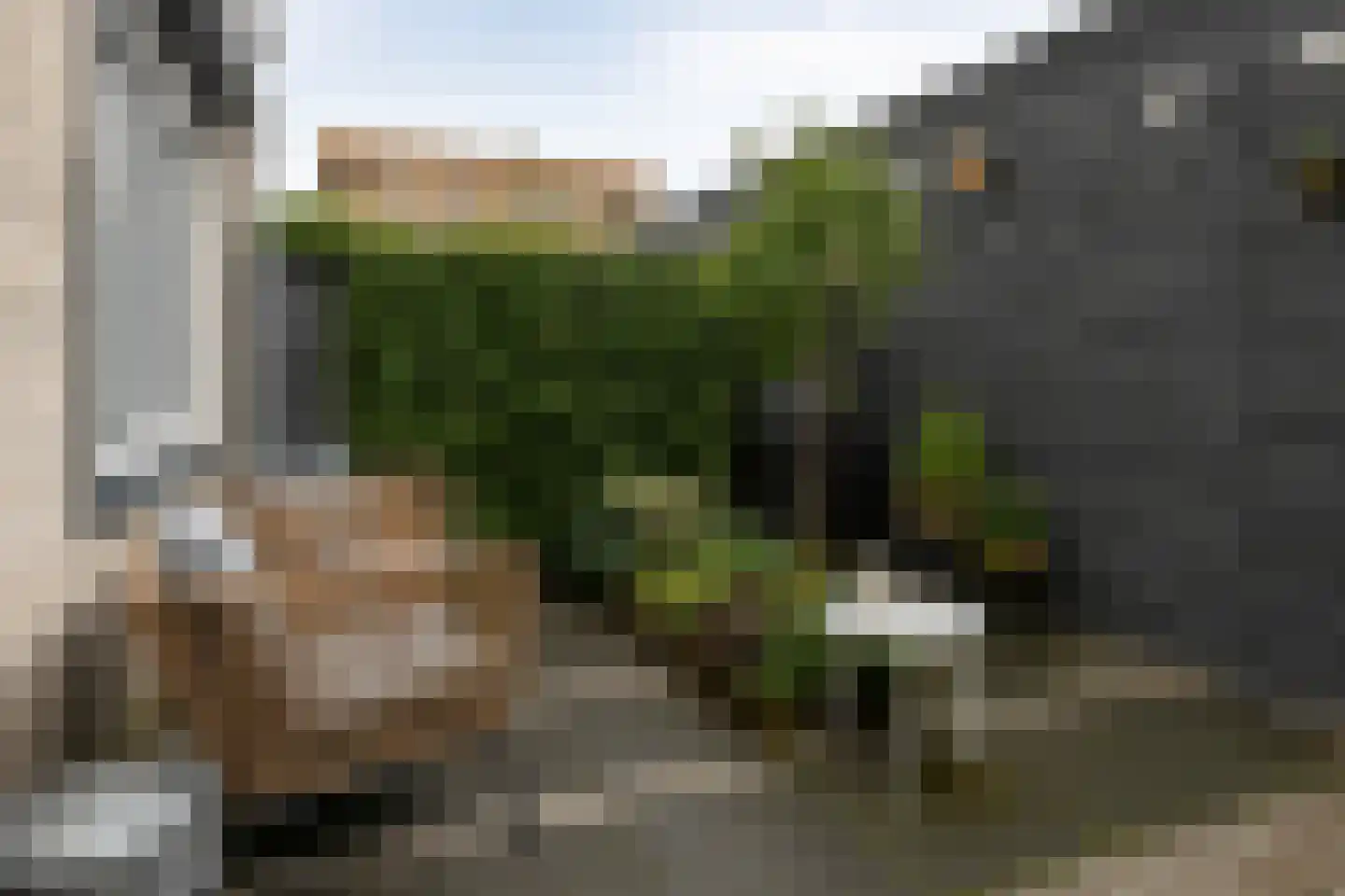Begoniatuin 289 Pijnacker thumbnail 22