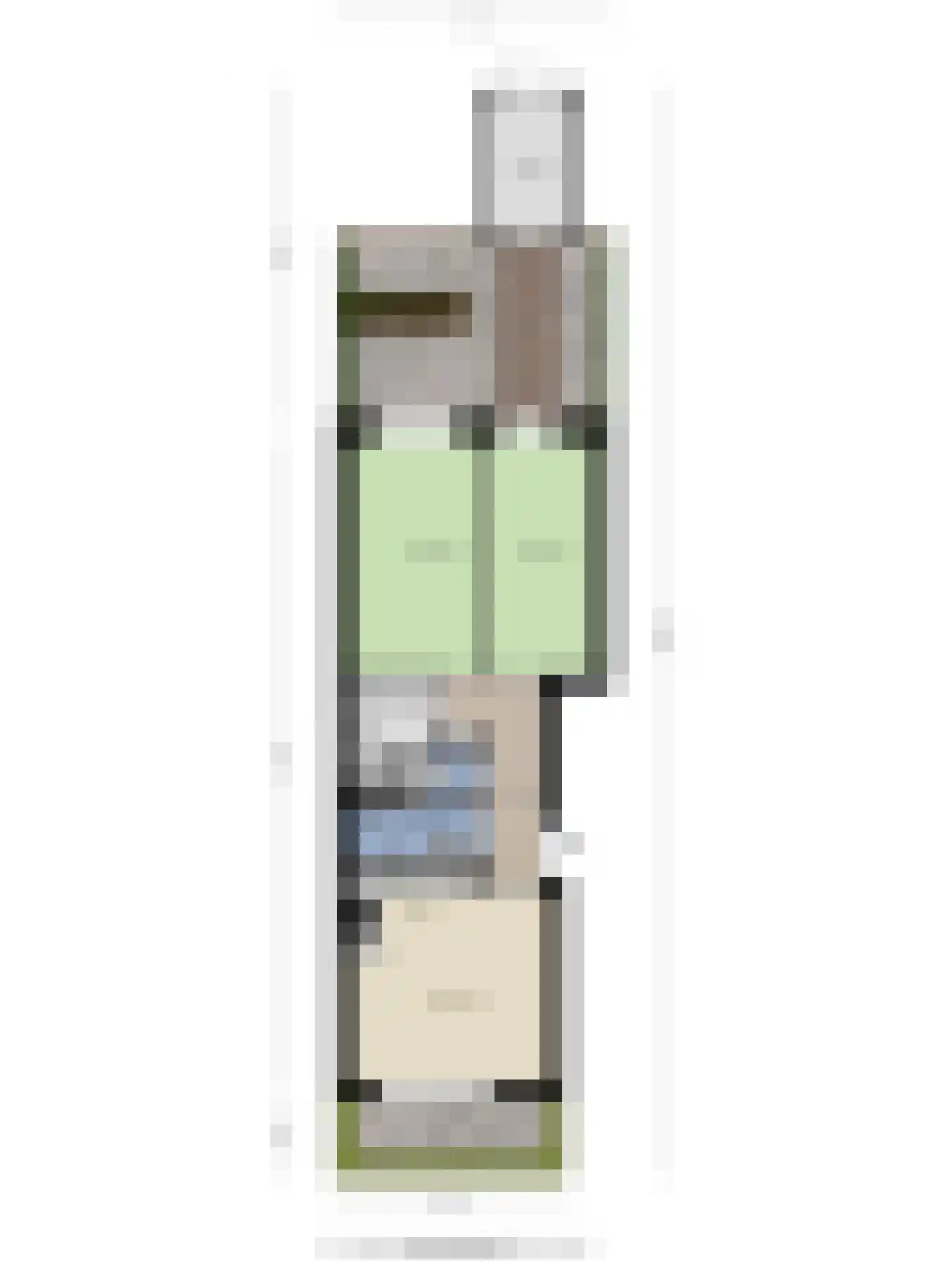 Begoniatuin 289 Pijnacker thumbnail 29
