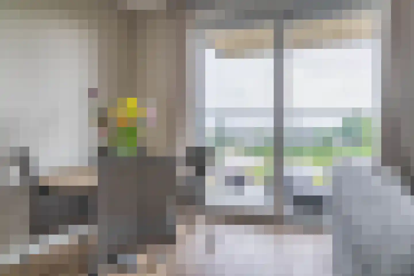 Begoniatuin 295 Pijnacker thumbnail 11