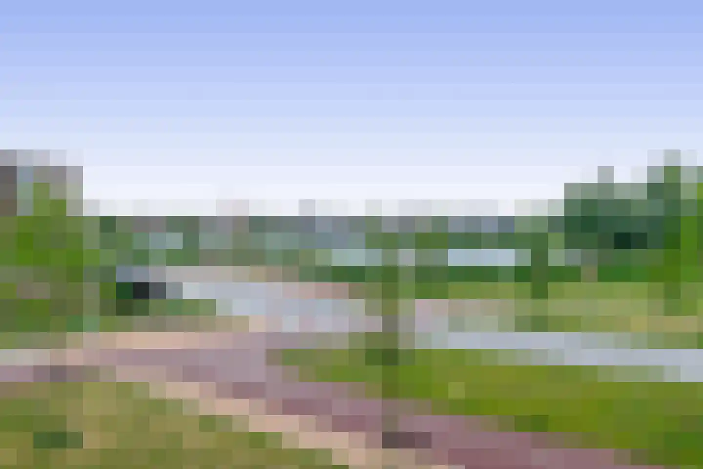 Begoniatuin 295 Pijnacker thumbnail 14