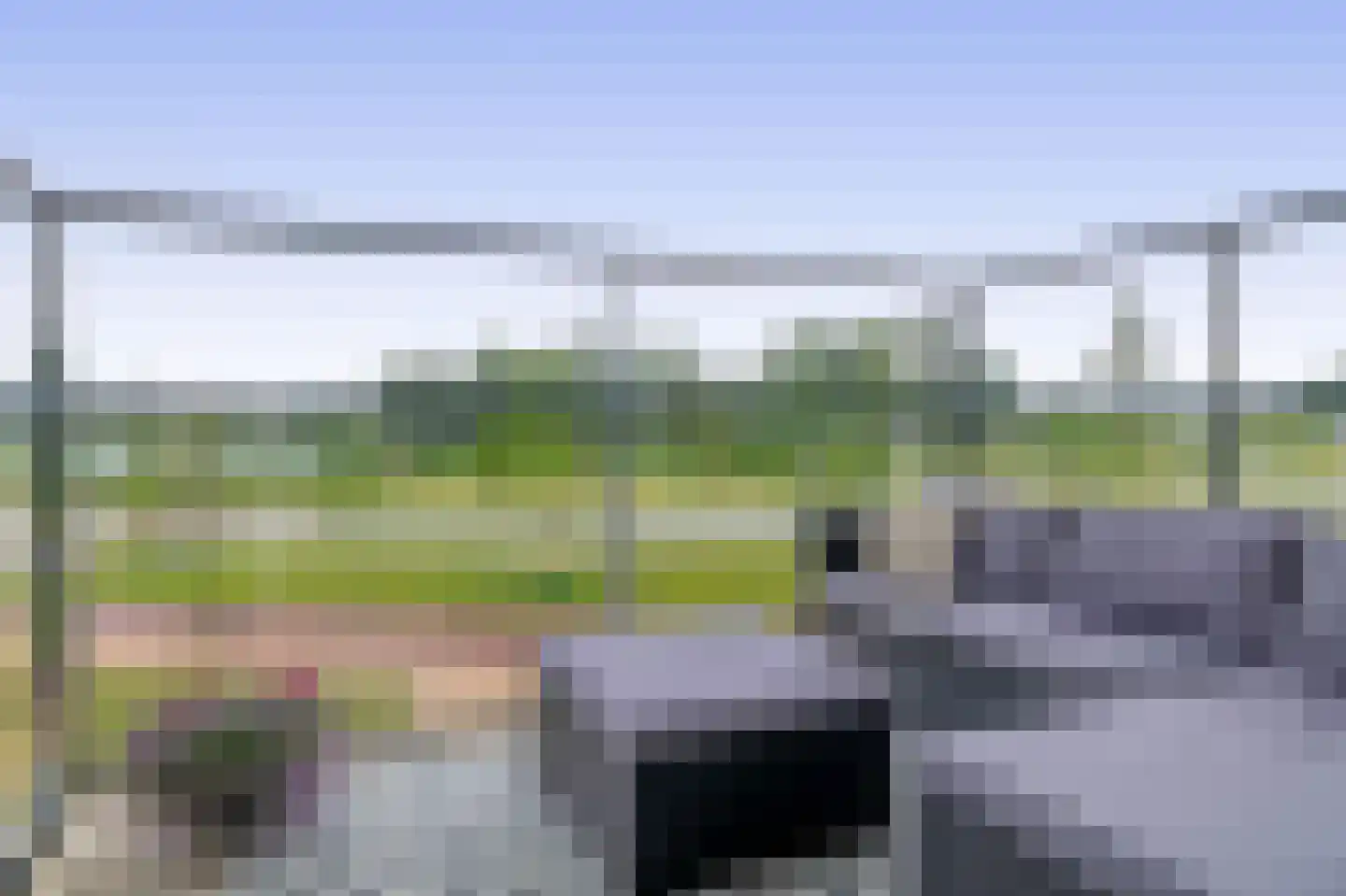 Begoniatuin 295 Pijnacker thumbnail 4