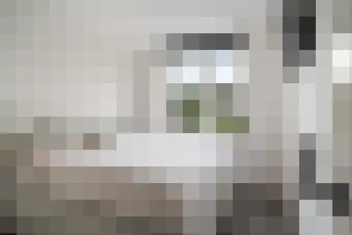 Begoniatuin 301 Pijnacker thumbnail 10