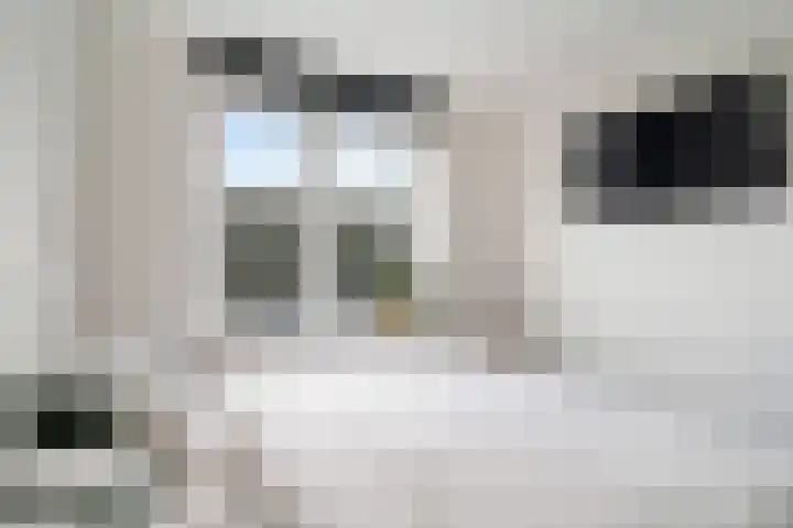 Begoniatuin 301 Pijnacker thumbnail 12