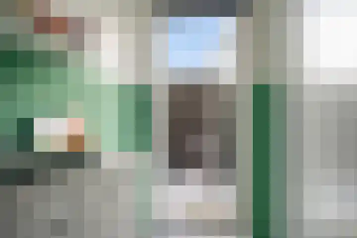 Begoniatuin 301 Pijnacker thumbnail 15