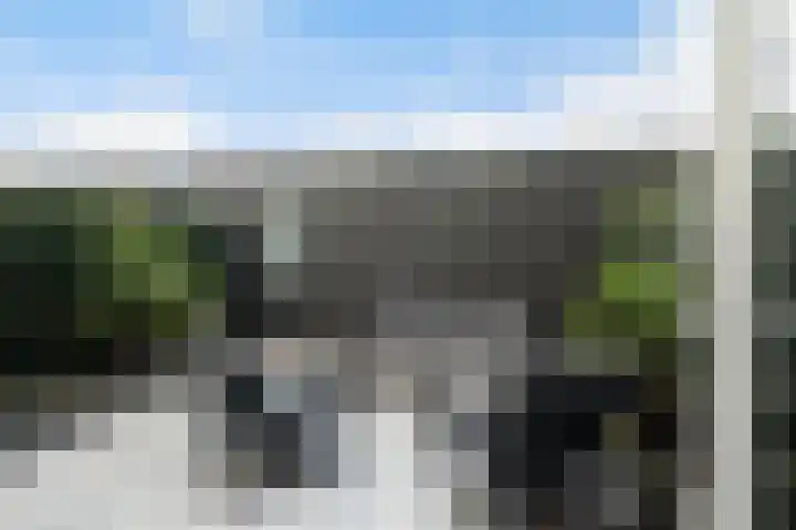 Begoniatuin 301 Pijnacker thumbnail 16