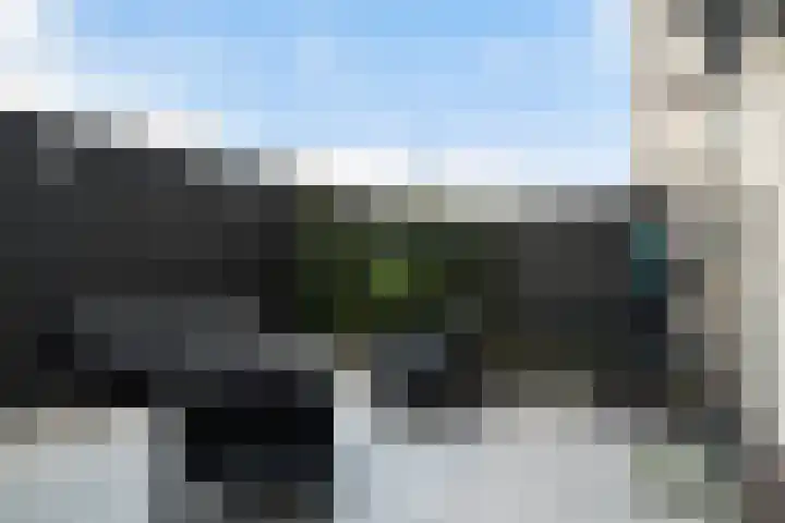 Begoniatuin 301 Pijnacker thumbnail 17