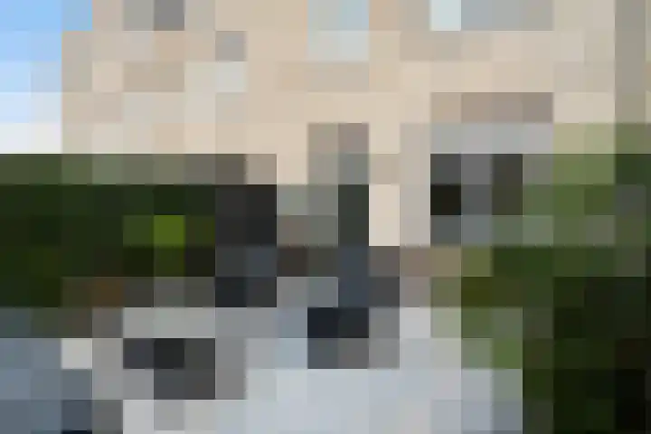 Begoniatuin 301 Pijnacker thumbnail 18