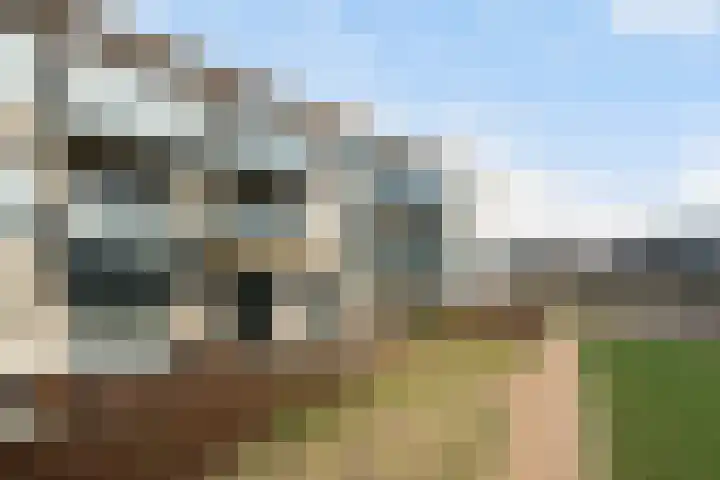 Begoniatuin 301 Pijnacker thumbnail 20