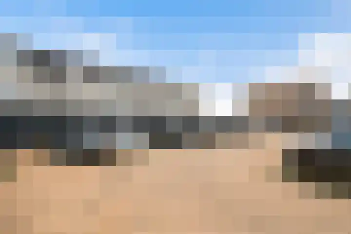 Begoniatuin 301 Pijnacker thumbnail 21