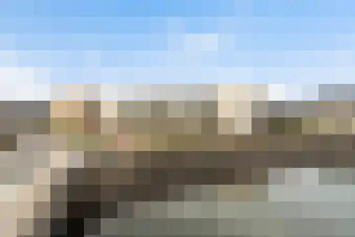 Begoniatuin 301 Pijnacker thumbnail 22