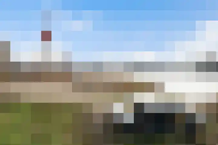Begoniatuin 301 Pijnacker thumbnail 23