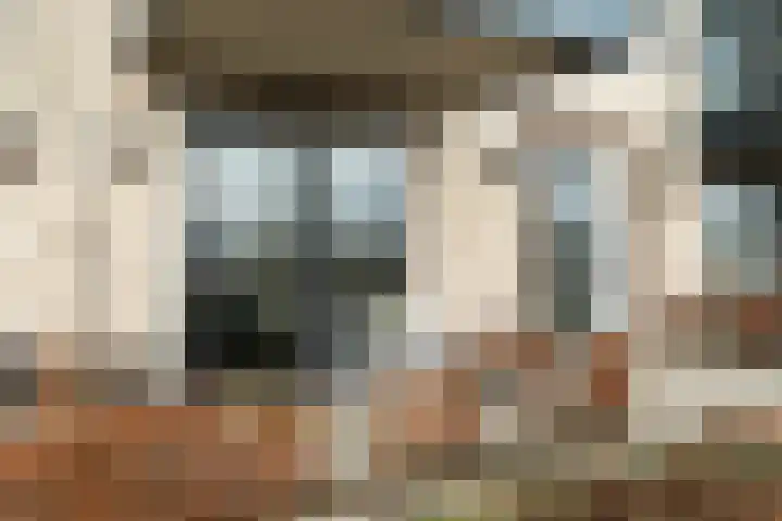 Begoniatuin 301 Pijnacker thumbnail 4