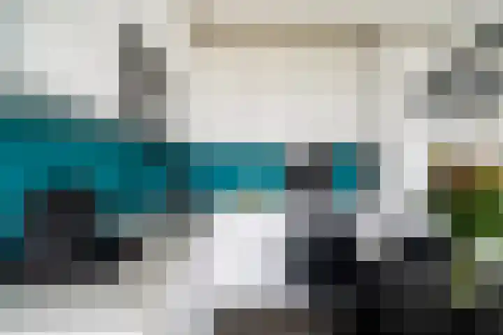 Begoniatuin 301 Pijnacker thumbnail 7