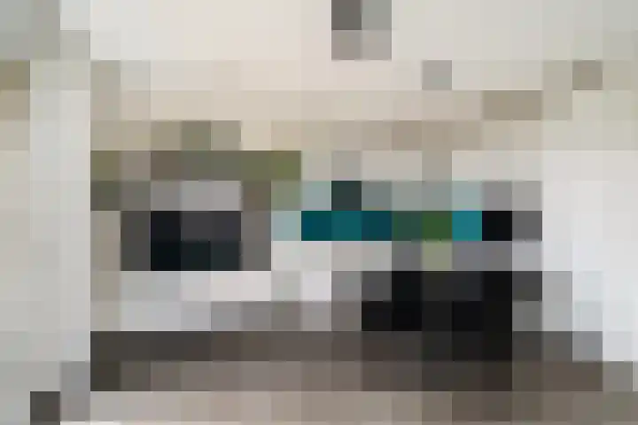 Begoniatuin 301 Pijnacker thumbnail 8